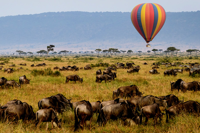 Top Things to Do & See in Serengeti National Park